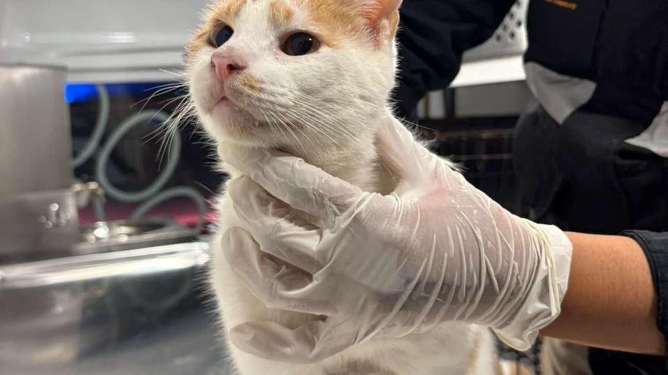 86b11c27_32d9_4dd2_b309_f84adc24ab32_57b9ff21da