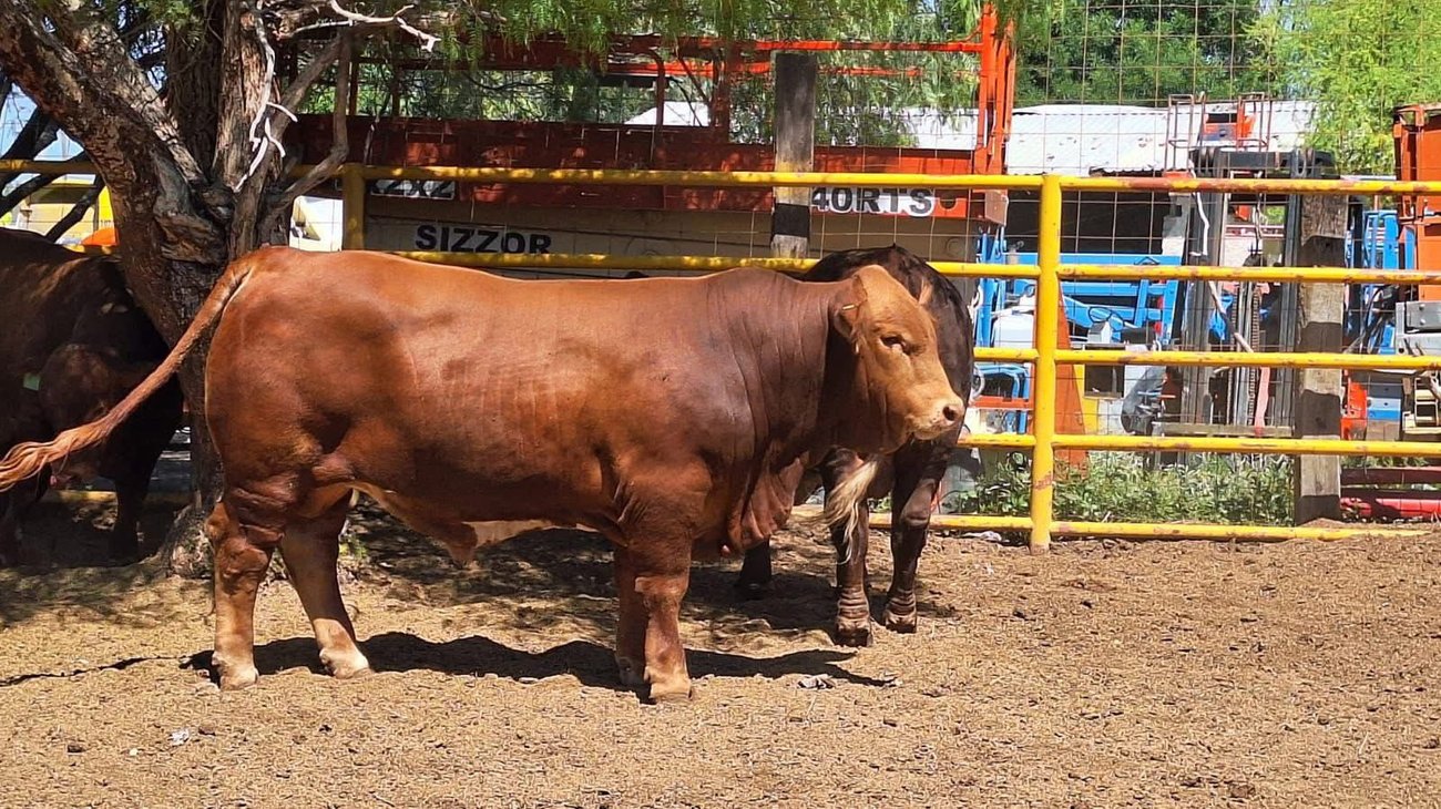 8cb0e396_5b24_4b81_97d1_18e277065cdc_4e8be4406b