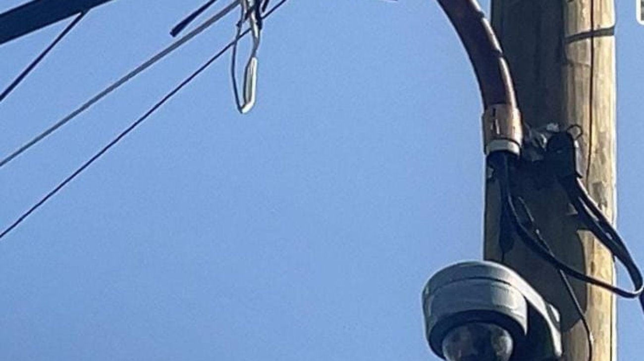 93cde908_c9b8_4a80_9497_d239af2112fe_8c162a7173