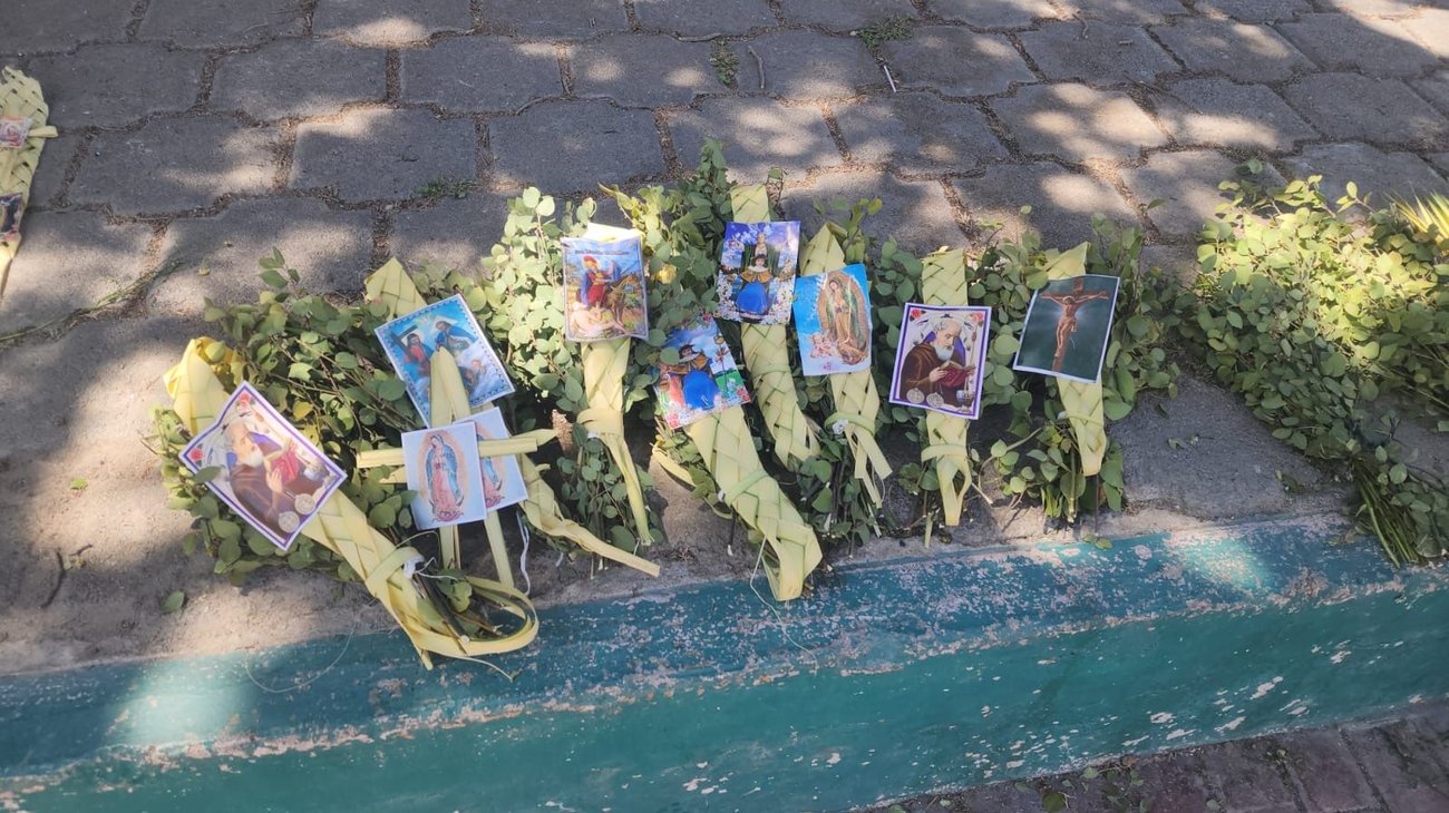 Fieles conmemoran el Domingo de Ramos con expresiones de fe