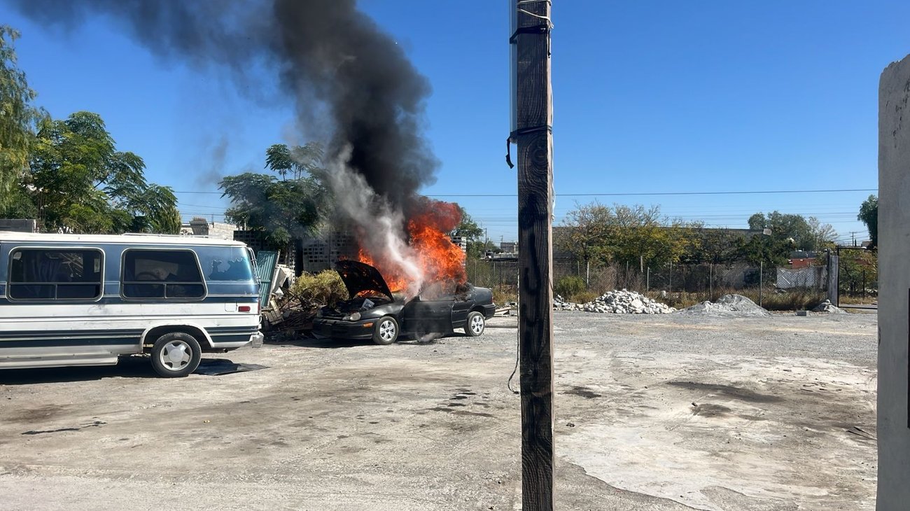 97a116fd_00a1_4ab2_8824_3b760785f759_7a10c3207b