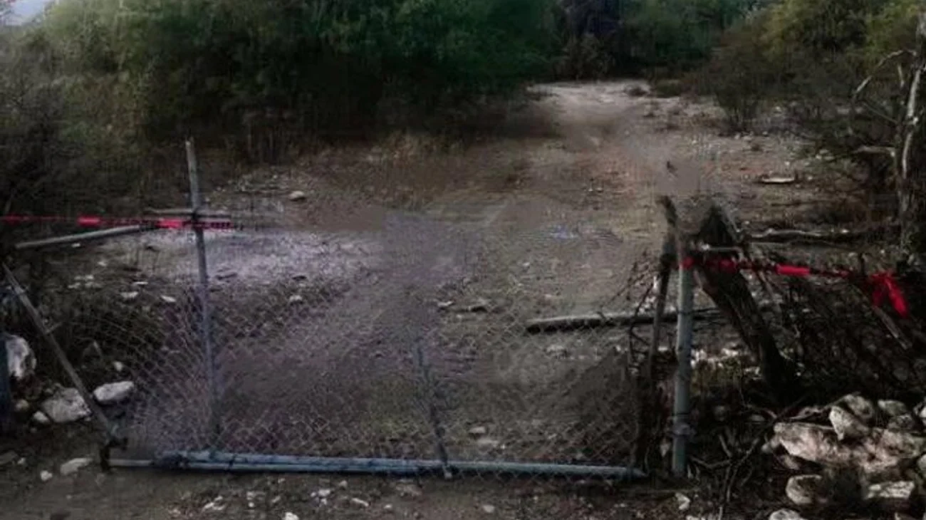 AA_1_D3_D6_N_9f98969f47