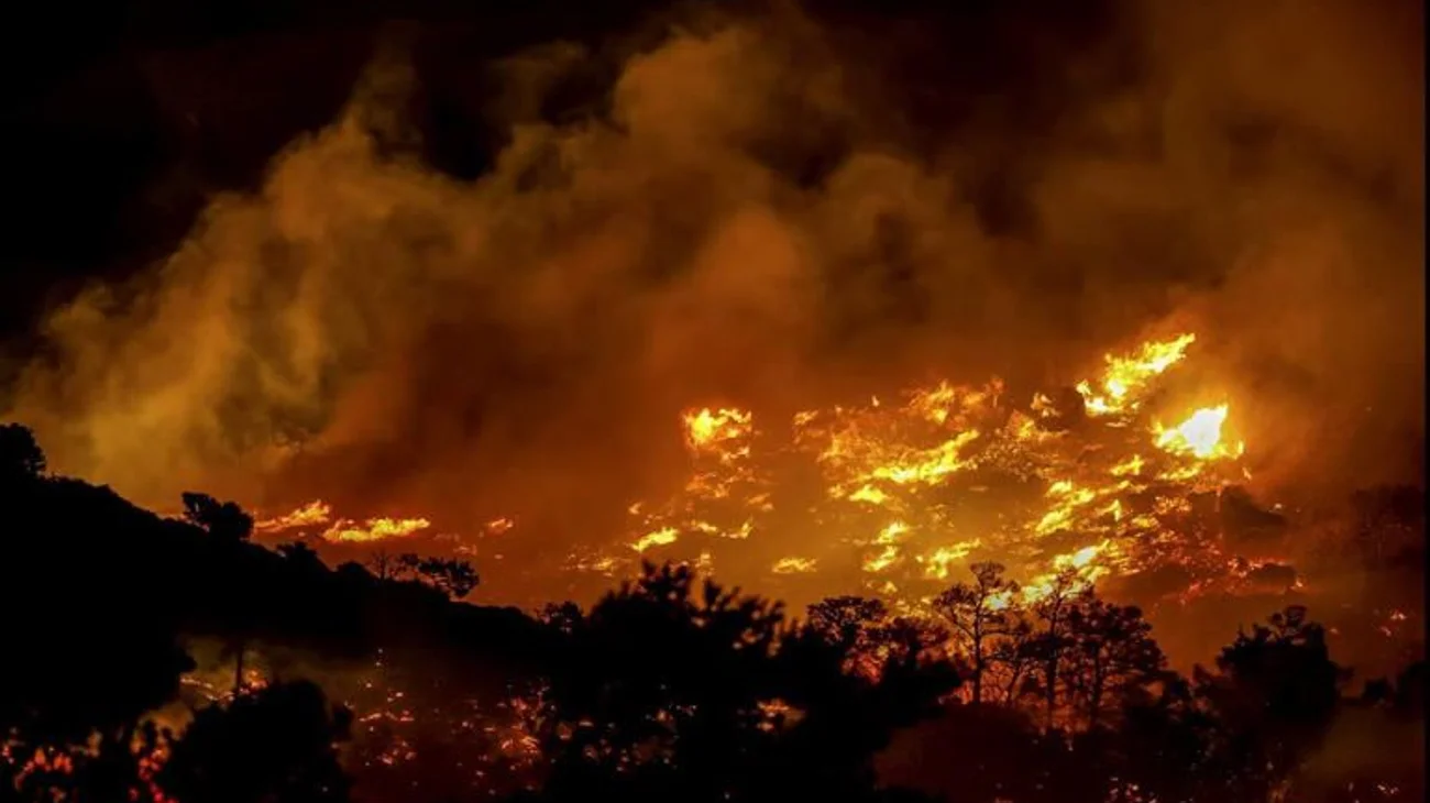 AA_1_H_Vd_Zg_2266c51a55