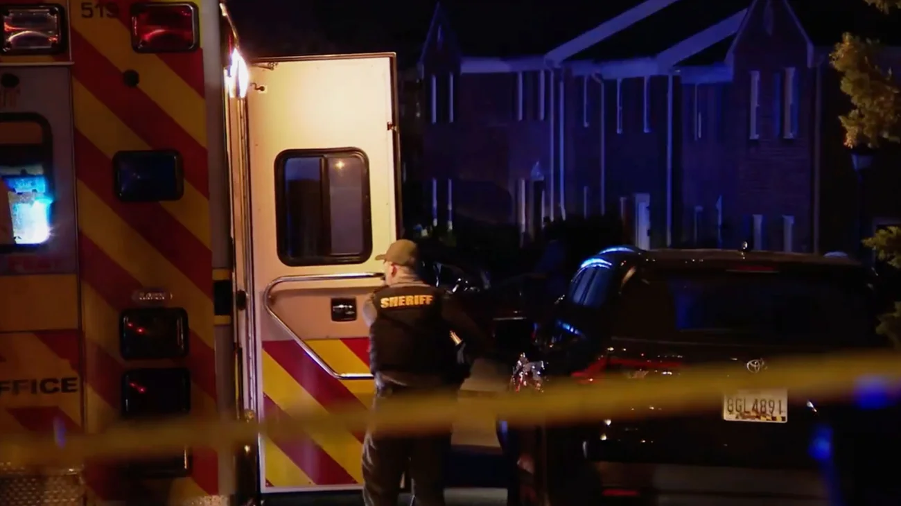 AP_25099055564859_4fc5dbdb7d