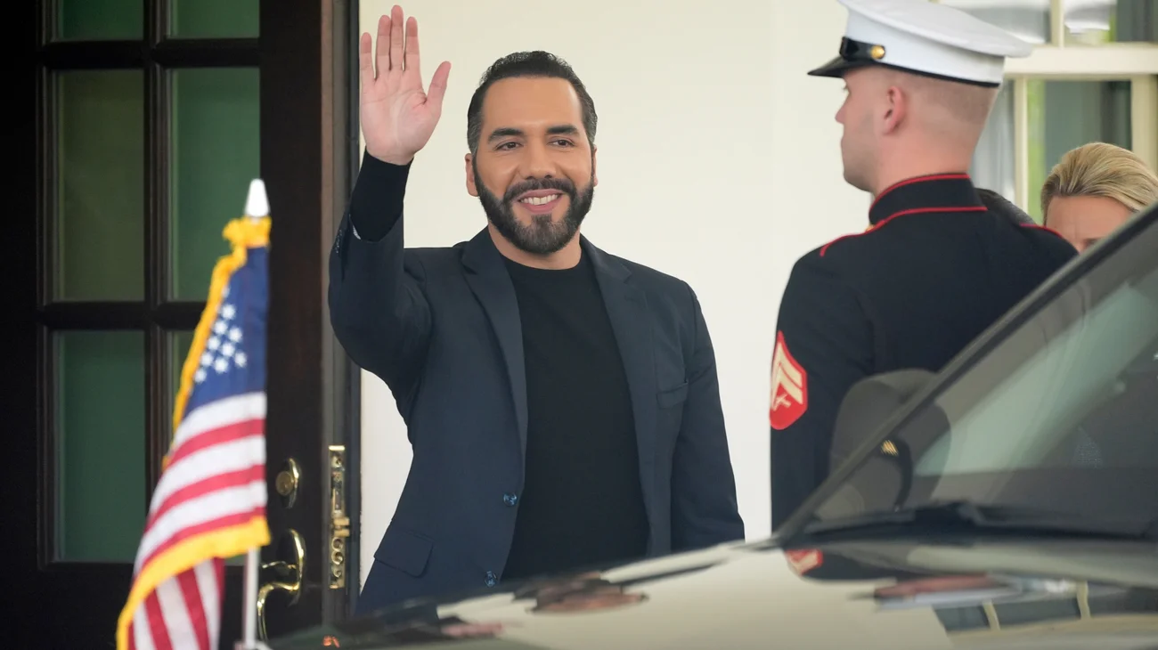 AP_25110812156383_1cd2312ca8