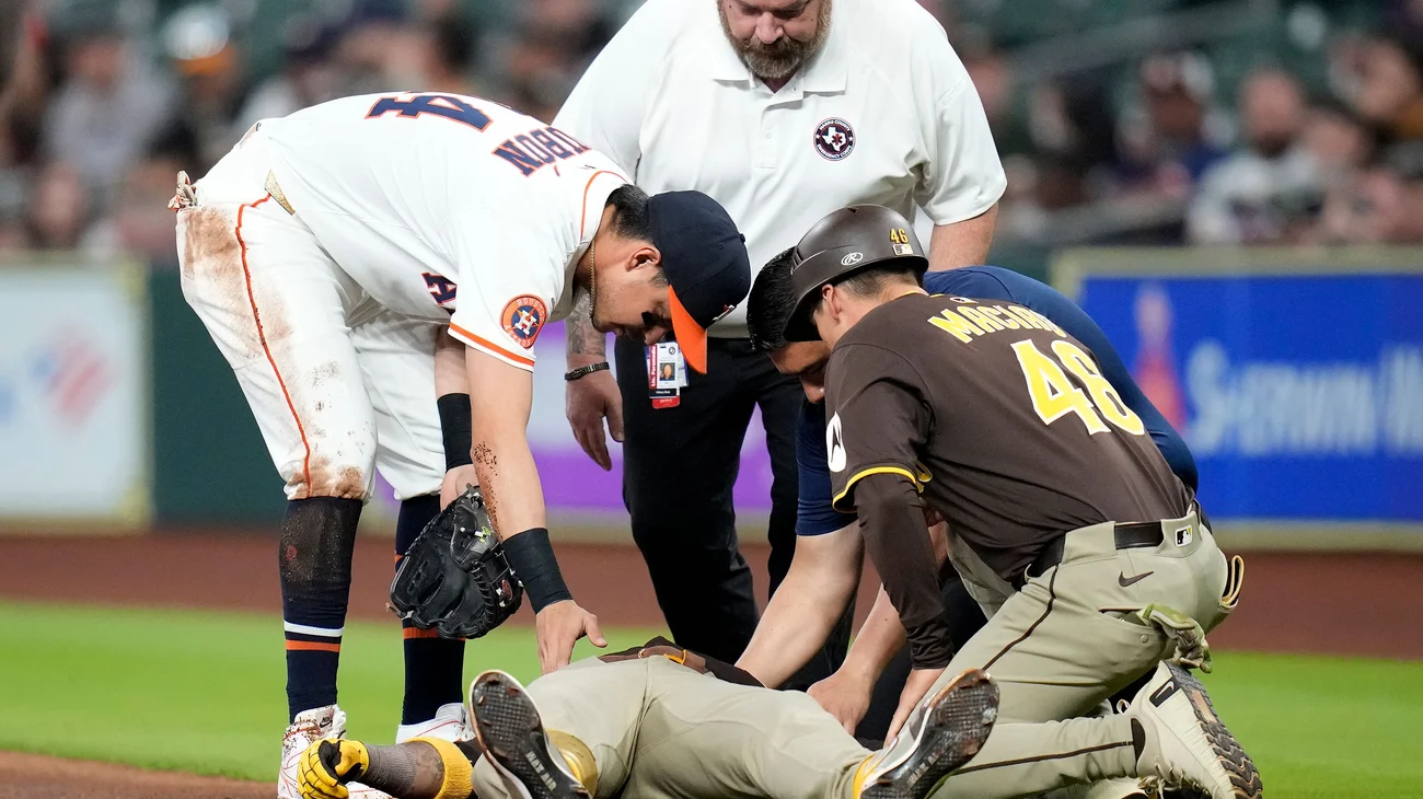 AP_25111840472879_ab0c2739ba