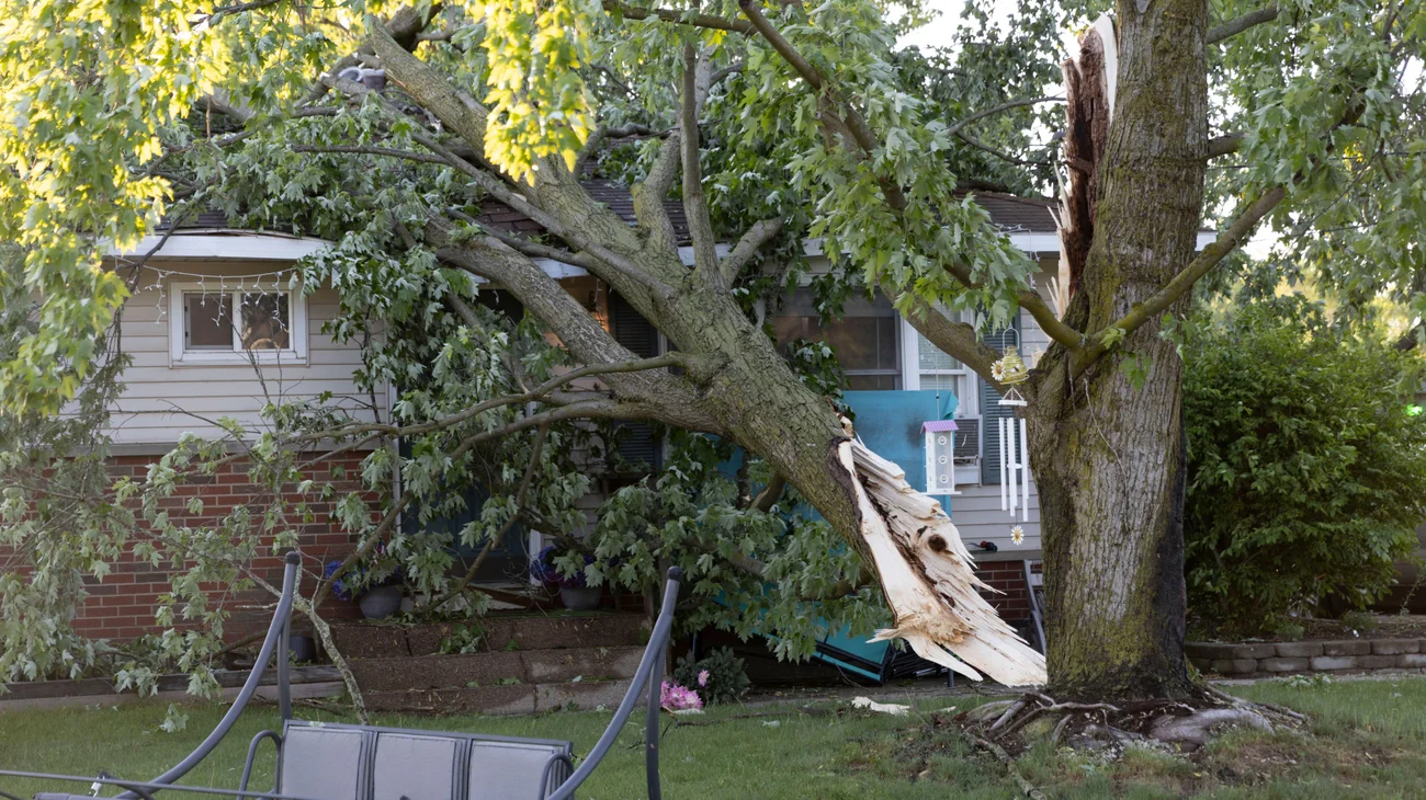 AP_25136702213165_7b18893122