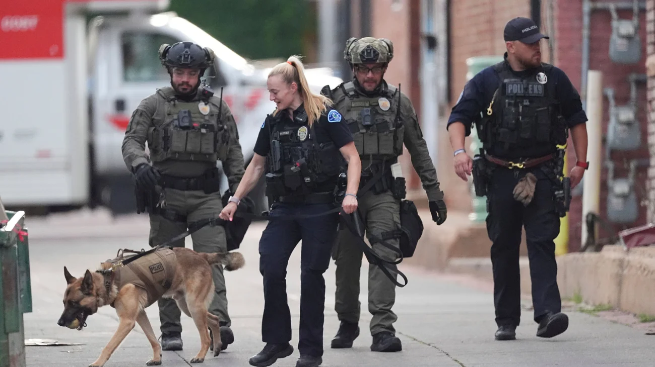 AP_25153115873263_1_506a1233ec