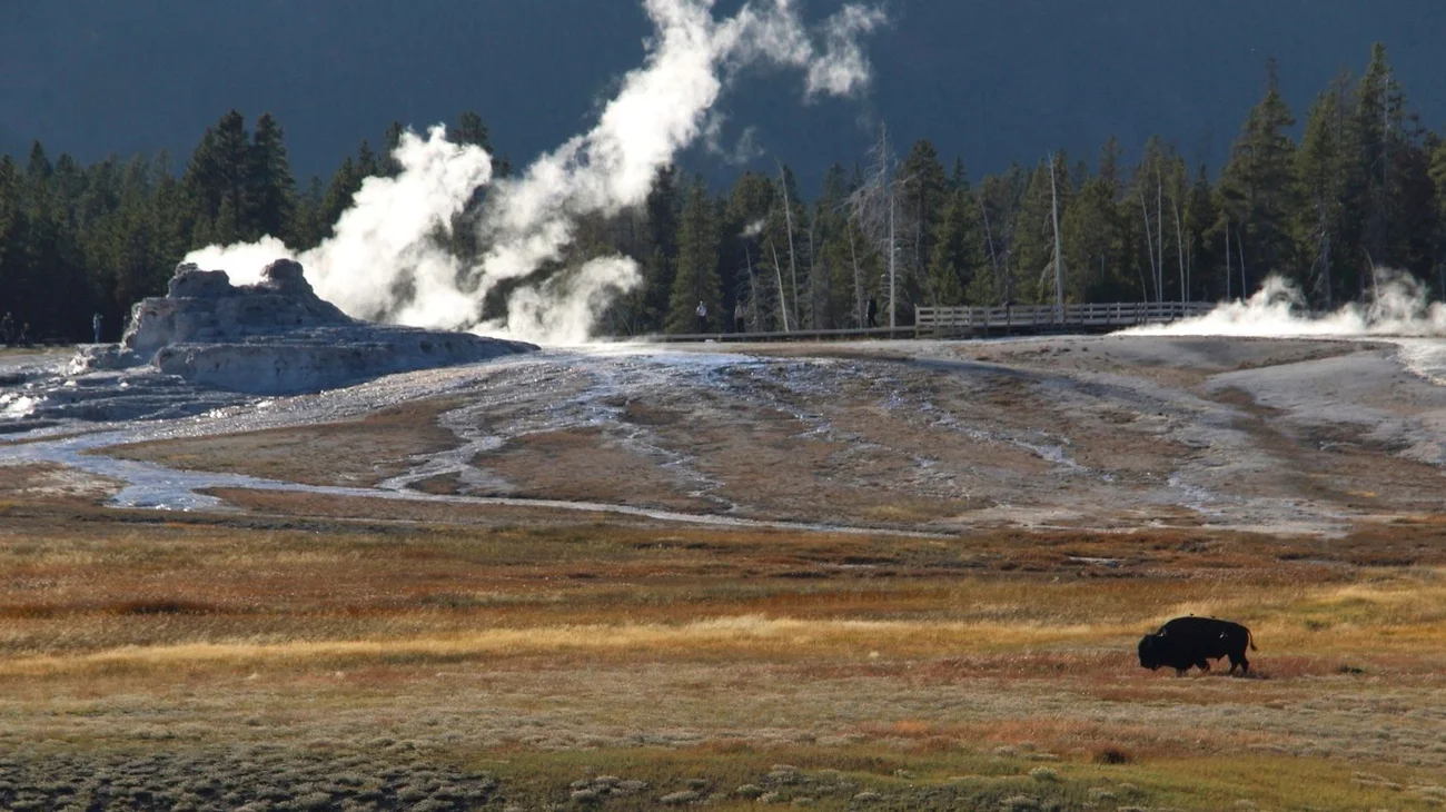 AP_25161851158625_dccdbf166f