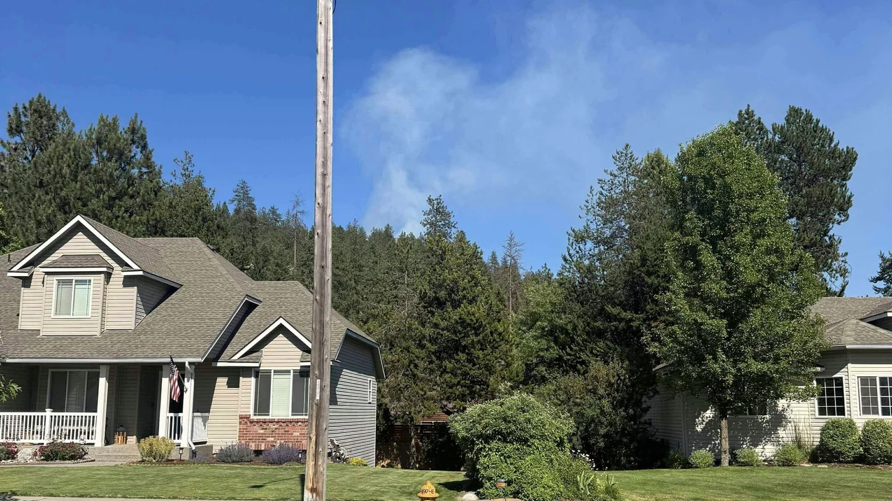 AP_25181029992021_b4d33591a7