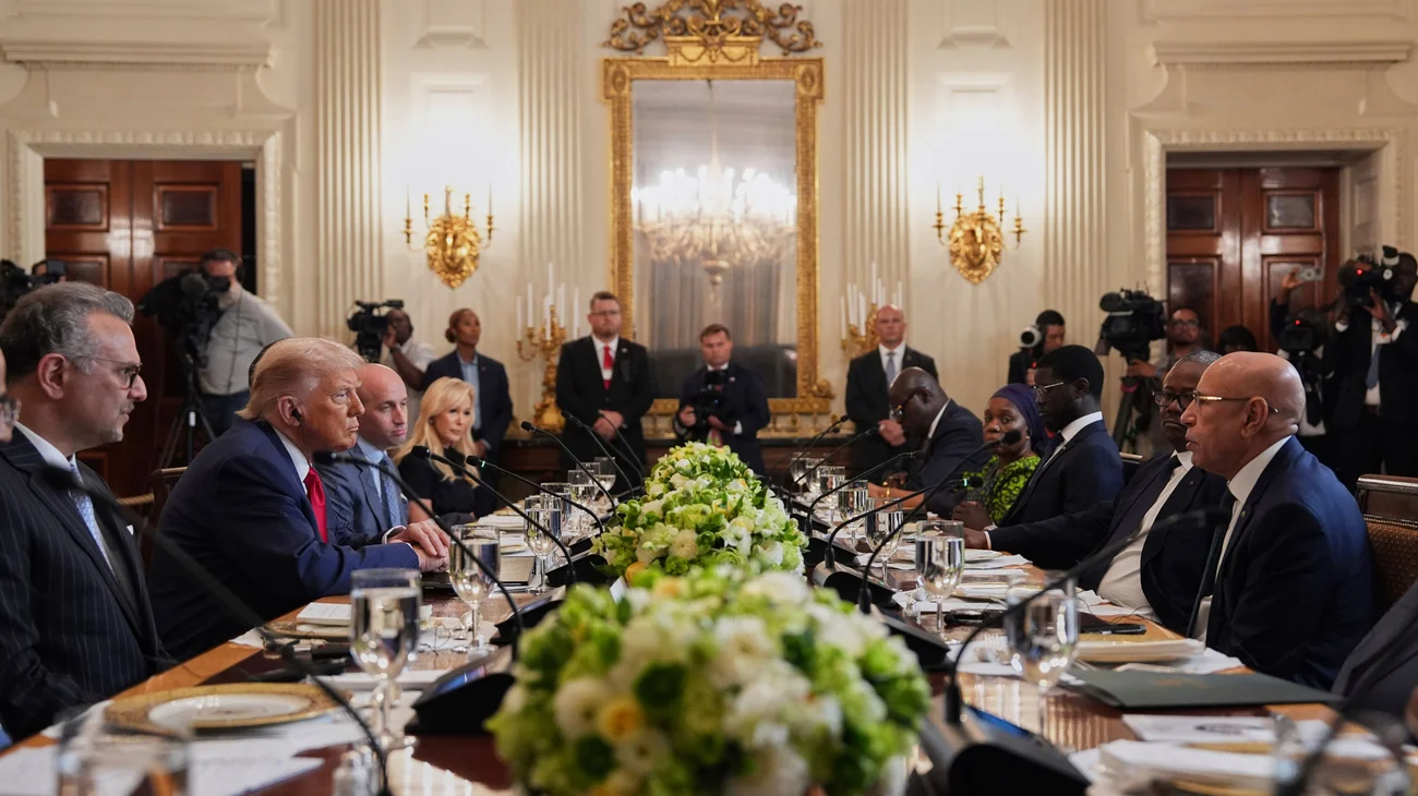 AP_25190620353988_63e4d3bfc7