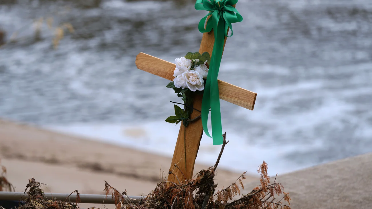 AP_25195570620116_1704b0b51b