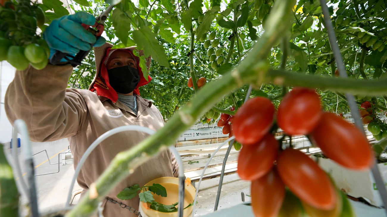 AP_25206770815071_2a9810e184