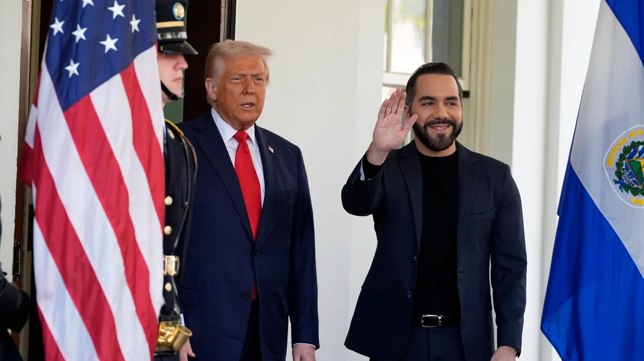 AP_25218850188334_46df03ed45