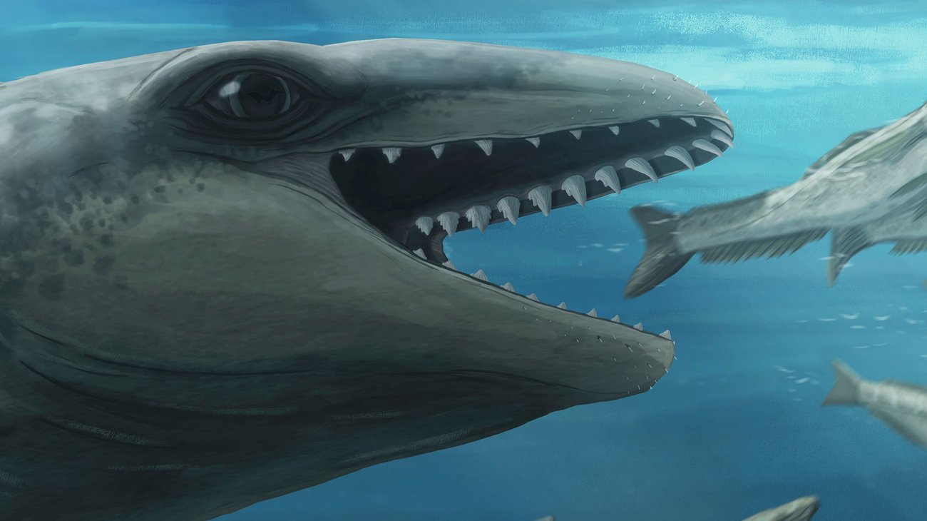 AP_25227639481913_a0bb40d126