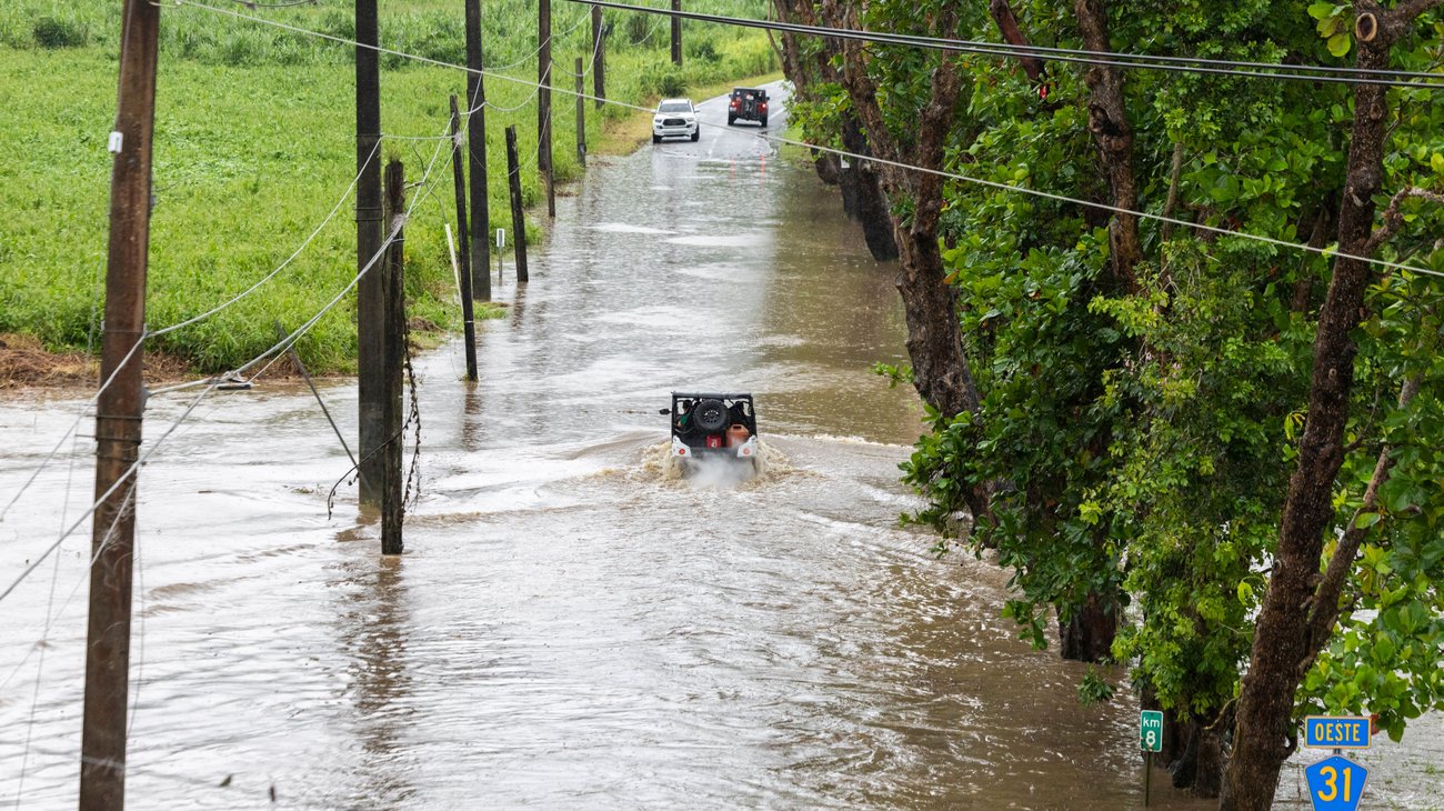 AP_25230029800027_80e577612a