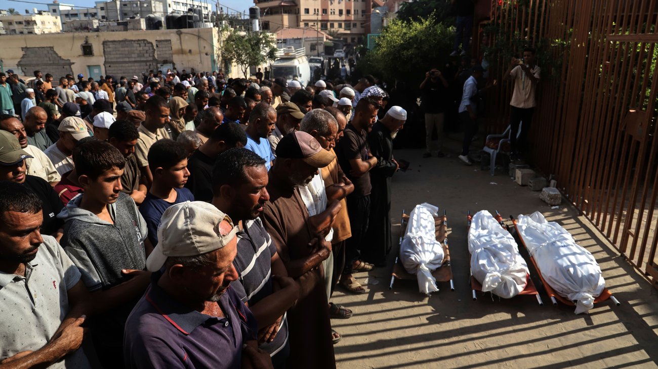 AP_25235438108768_d49e04b1f1