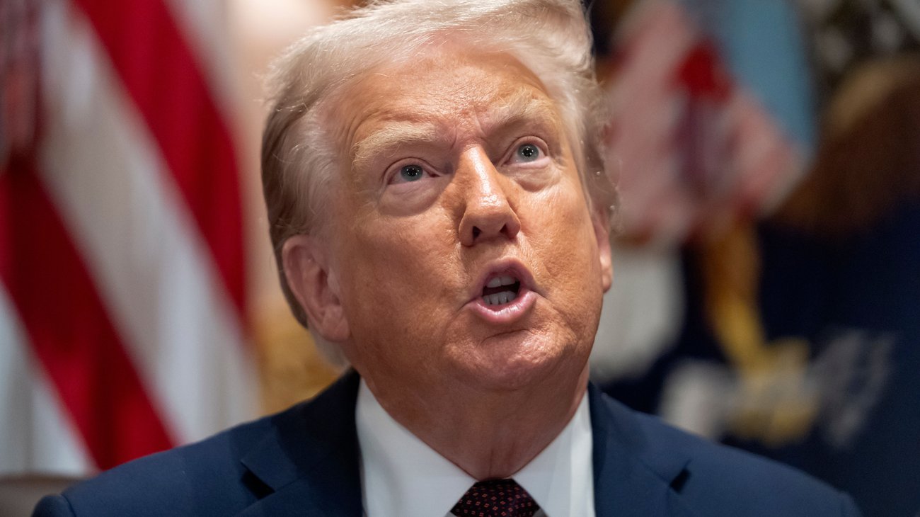 AP_25245630765656_69015022c1