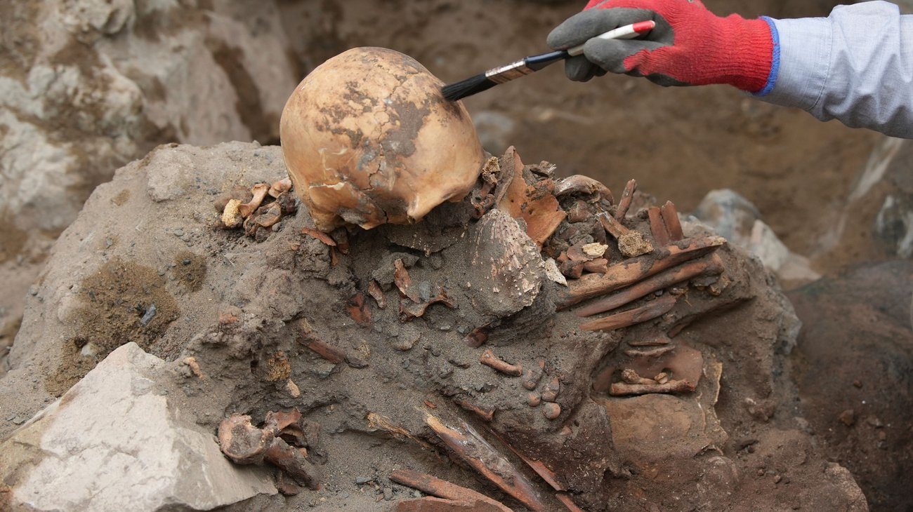 AP_25246657073483_9a0985794c