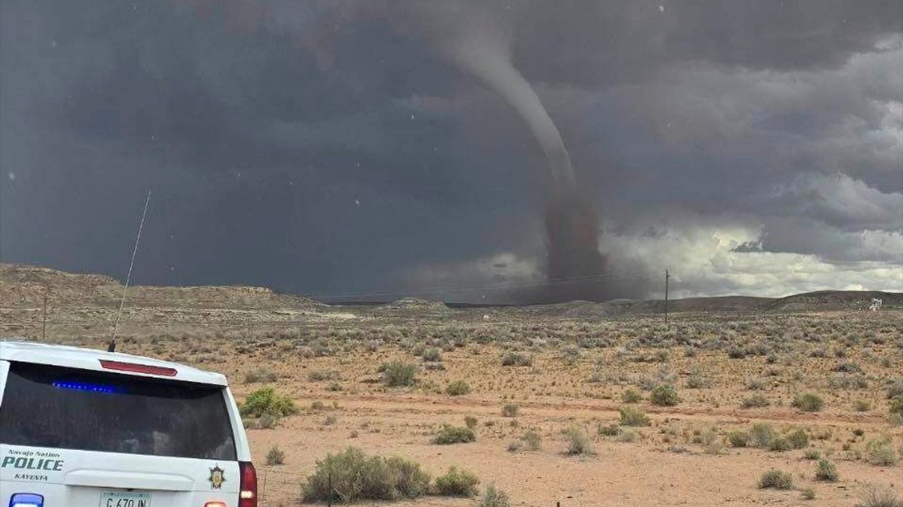 AP_25257758275763_91577e9dd8