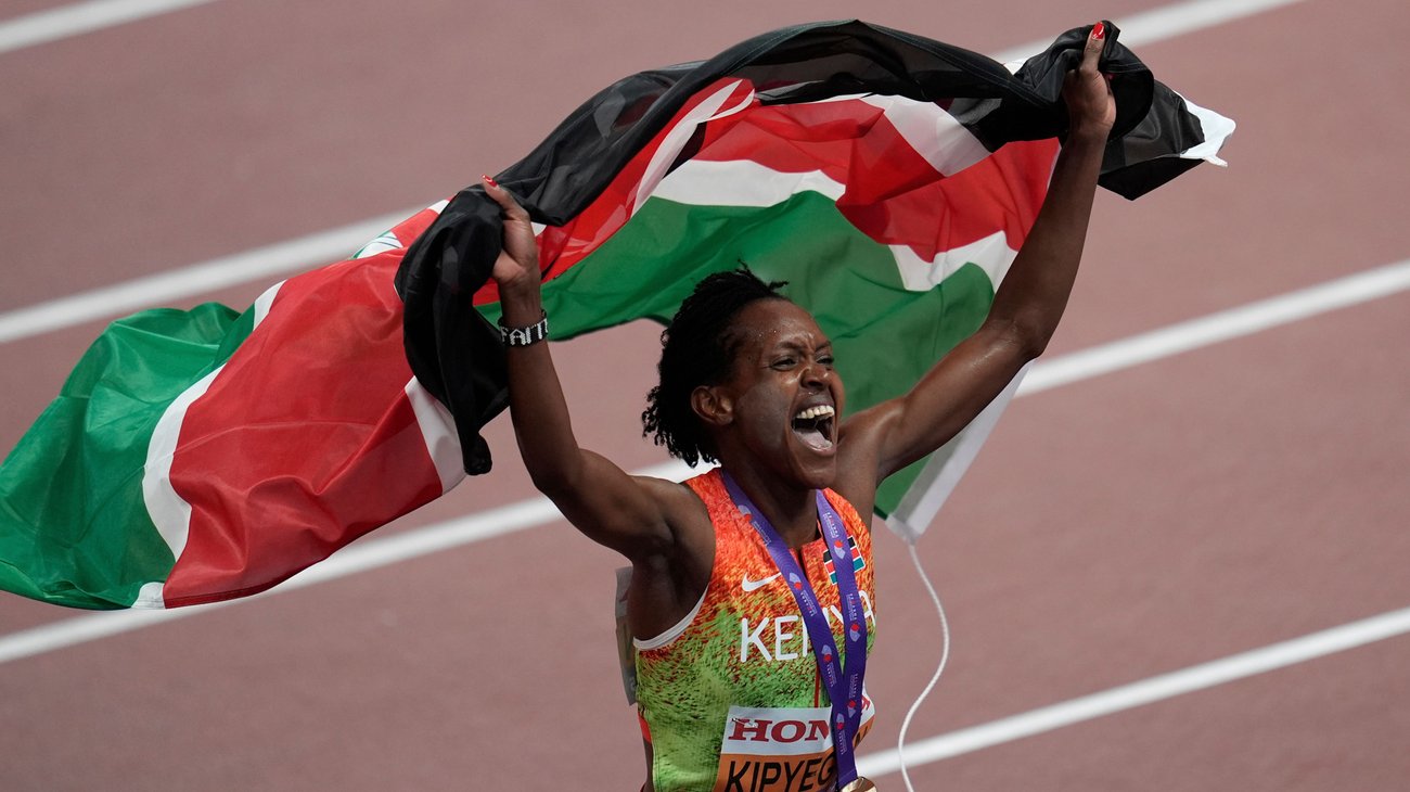 AP_25259527037686_910cd5390a