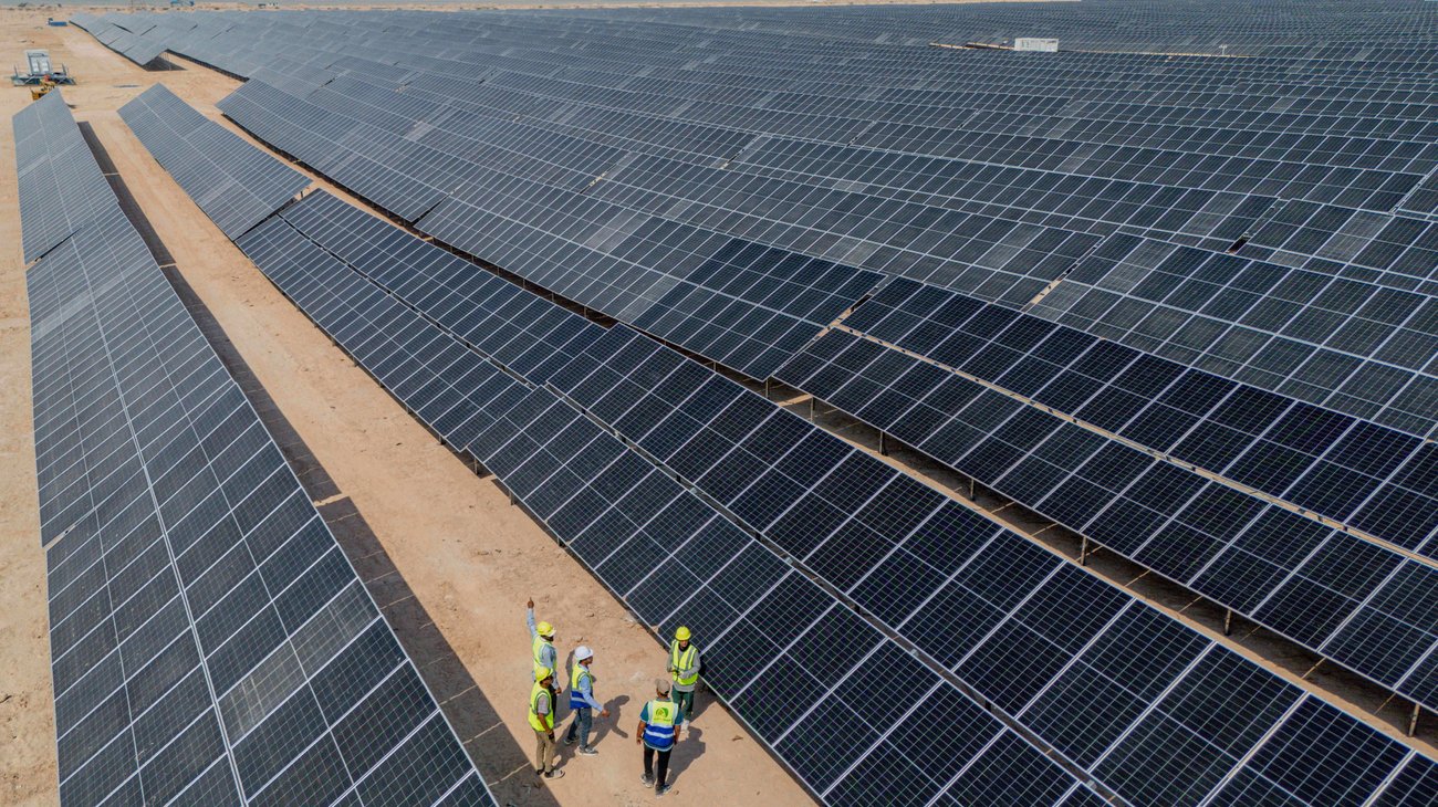 AP_25264096010042_8386e8f6dc