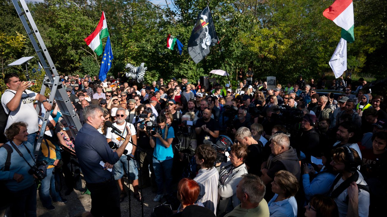 AP_25270745929131_a8025e29f2