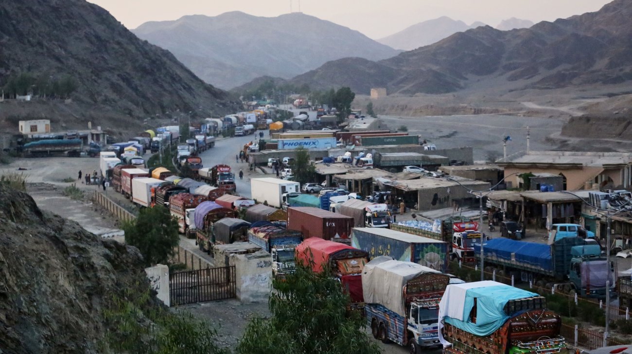 AP_25288030697880_222f1330f4