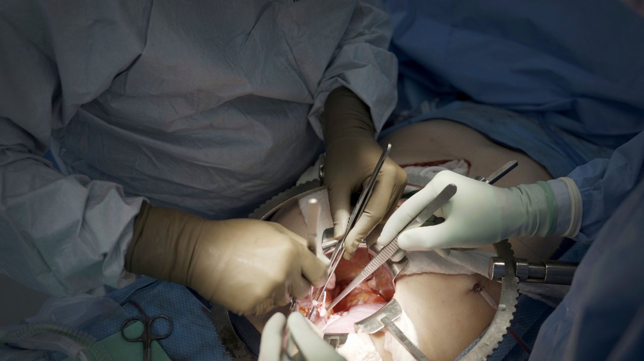 AP_25307798497744_0a83632761