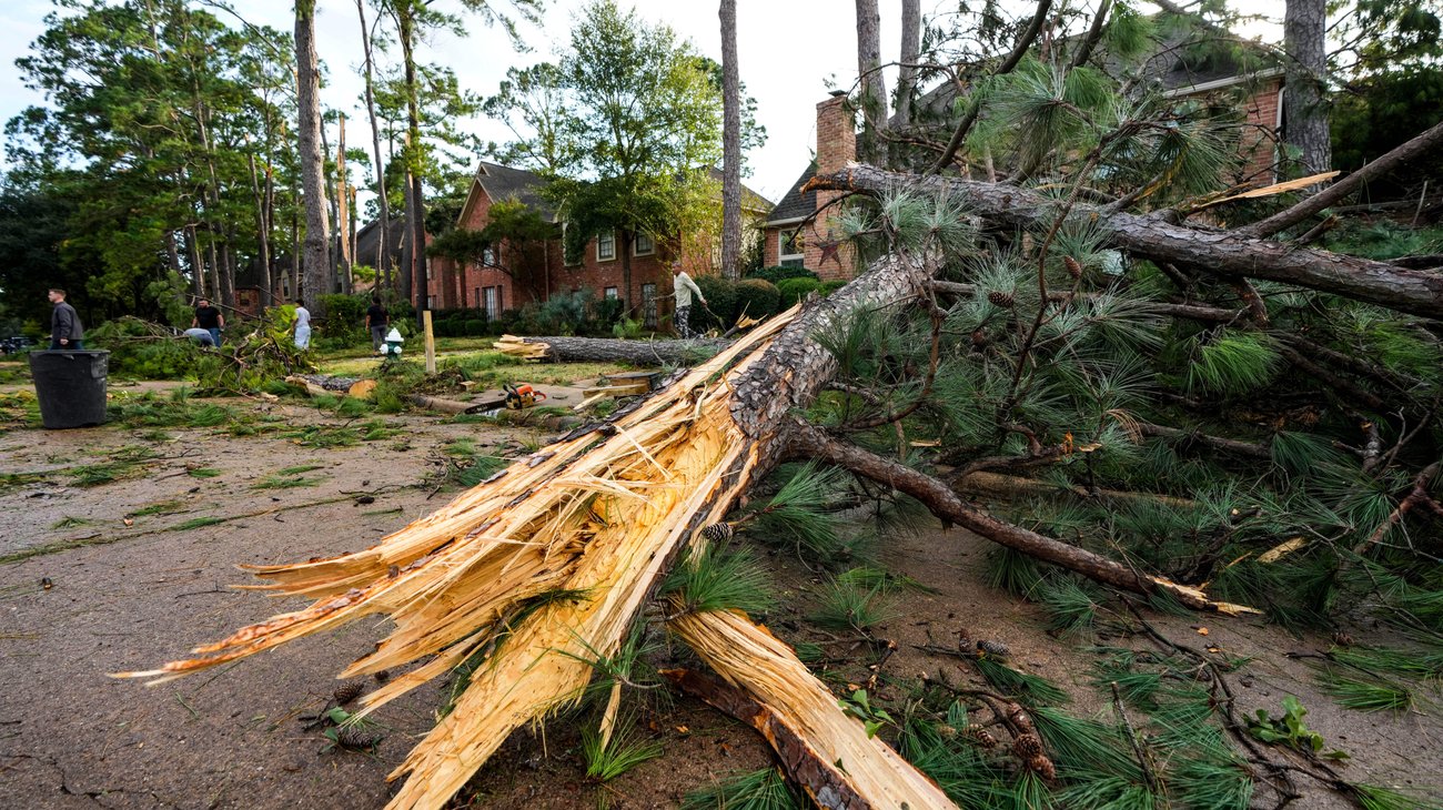 AP_25329081257450_e2291fe755