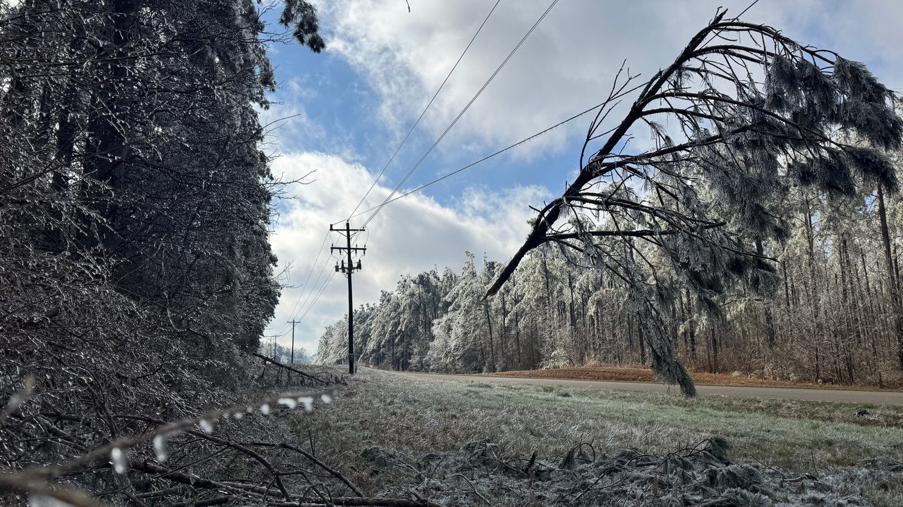 AP_26027782003175_9f385c0cff