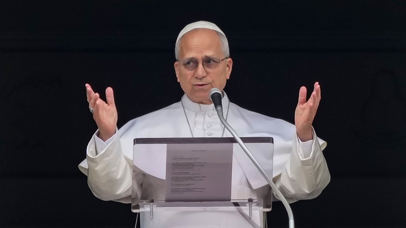 AP_26074488092021_9a81192743