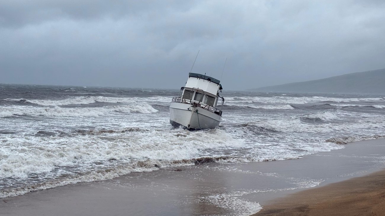 AP_26074713275342_79e6c6fc14