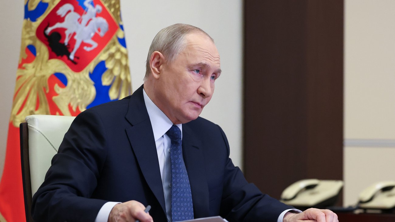 AP_26097550954997_b229654ca2