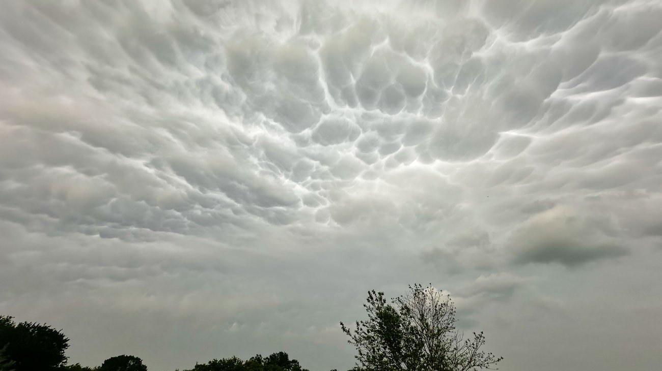 AP_26116788684701_110107351d