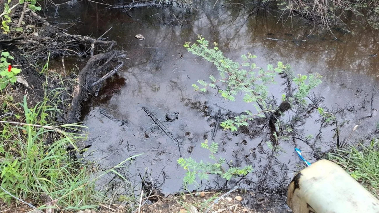 Amenaza_derrame_de_hidrocarburo_contaminar_laguna_de_Altamira_6b99bfa284