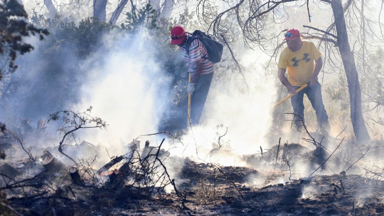 Arteaga_cierra_2025_con_incendio_forestal_casi_sofocado_1dea798962