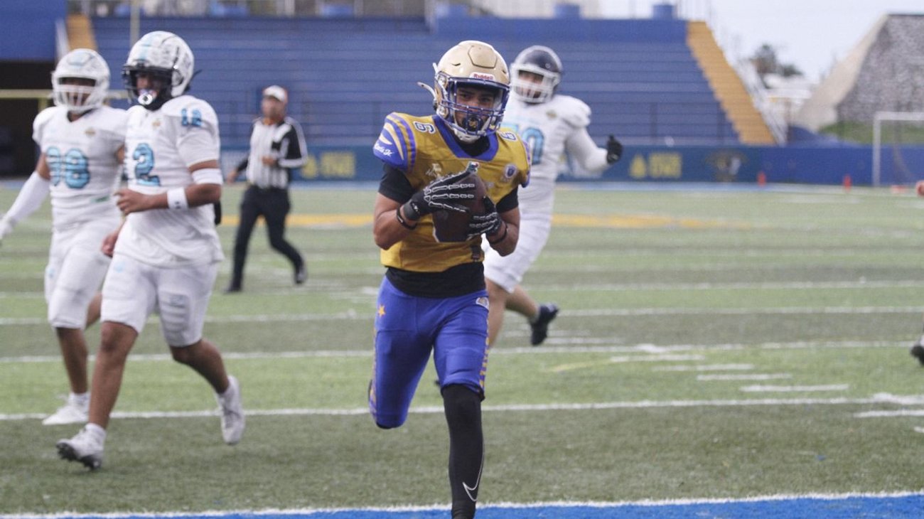 Autenticos_Tigres_Juvenil_de65e68078