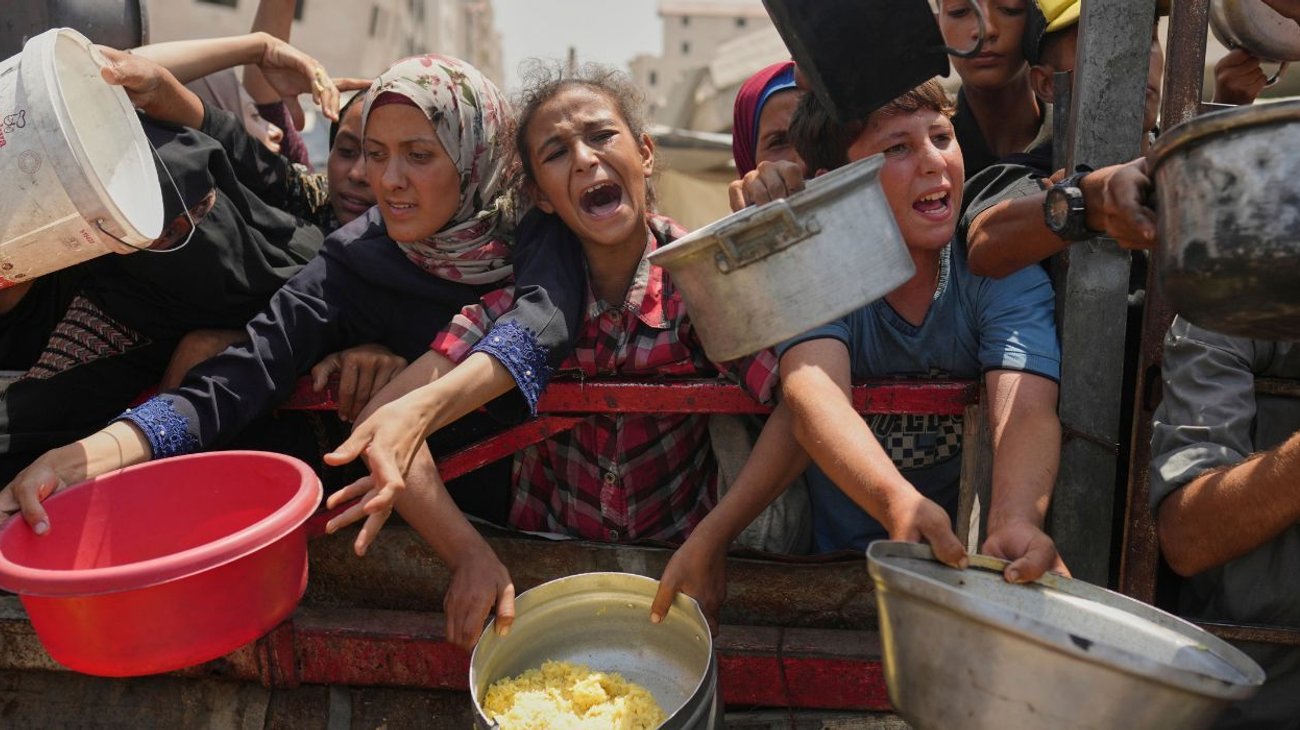 Campana_fraudulenta_Israel_niega_hambruna_en_la_ciudad_de_Gaza_49d2212415