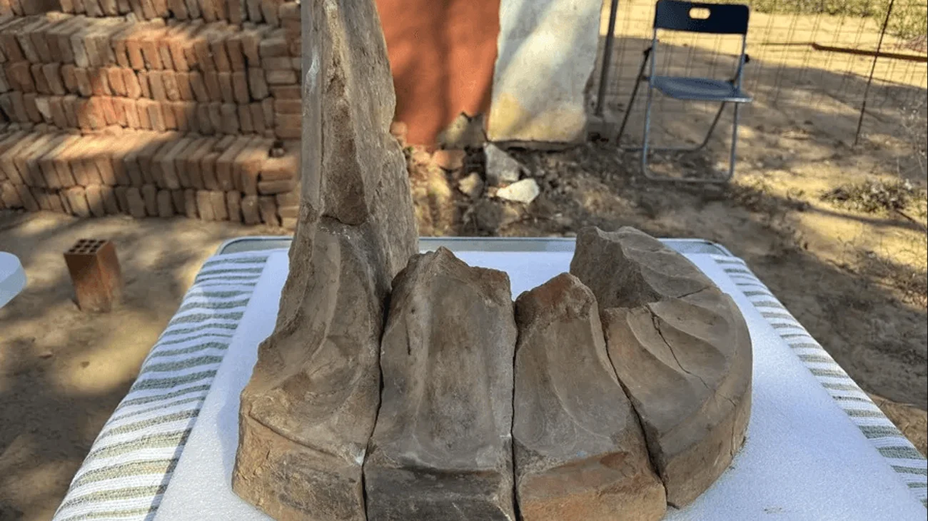 Captura_de_pantalla_2025_07_06_a_la_s_20_25_58_9ad5fb8e8b