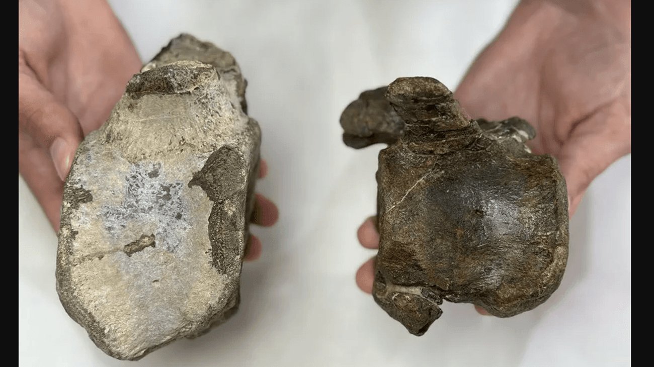 Captura_de_pantalla_2025_09_16_a_la_s_19_06_00_2dddfc65a5