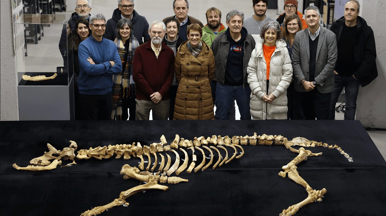 Captura_de_pantalla_2026_02_09_a_la_s_8_25_10_p_m_dfebaaf939