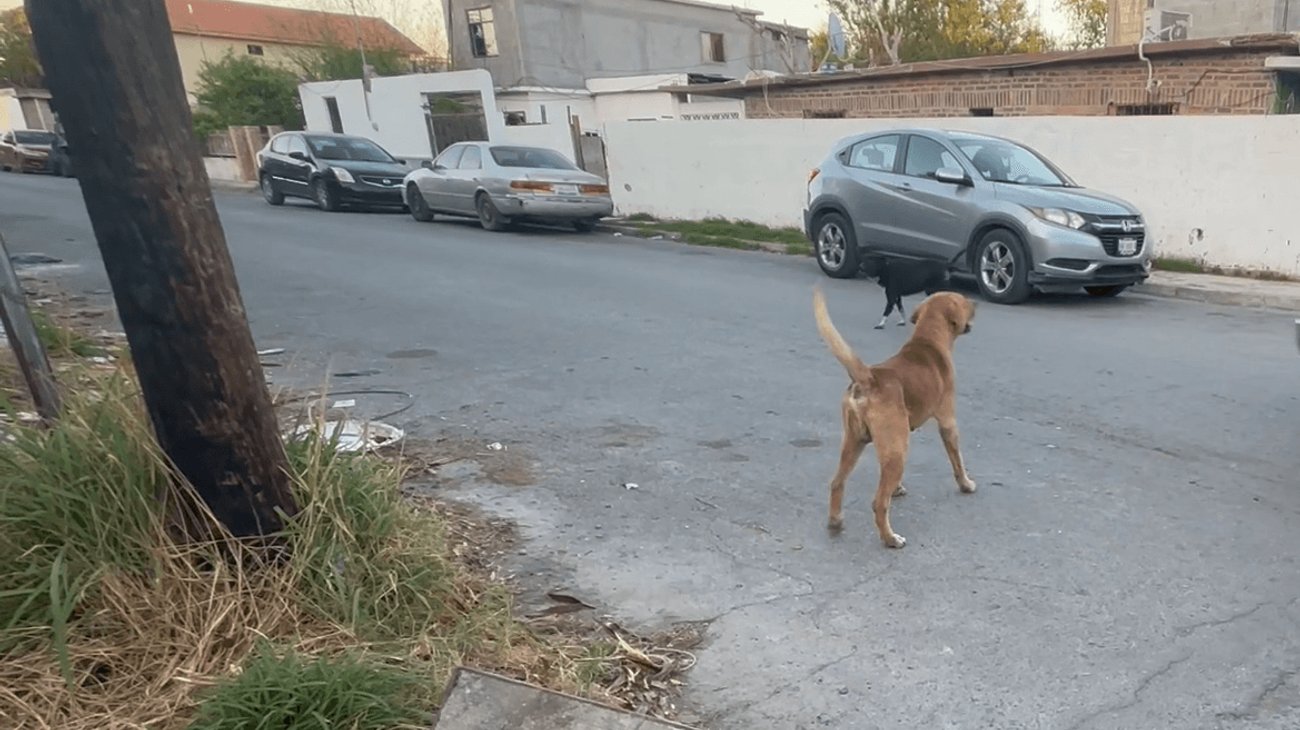 Promete Karely Ruiz ayuda a refugio en Nuevo Laredo