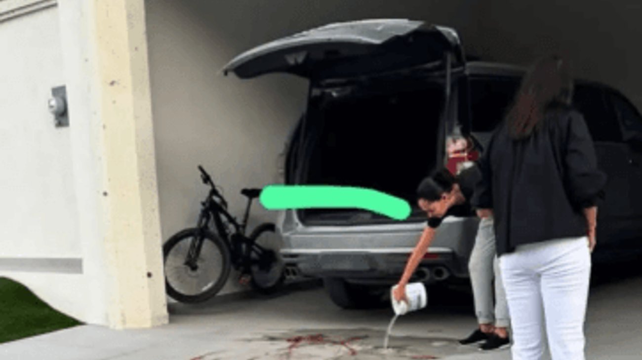 Rescatan a perro presuntamente maltratado en Saltillo