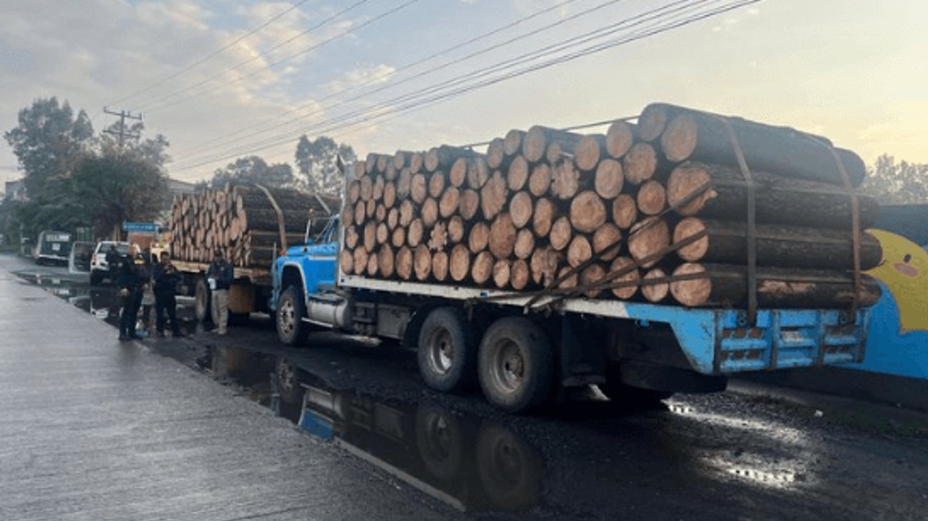Decomisan tres camiones cargados con madera ilegal en Michoacán