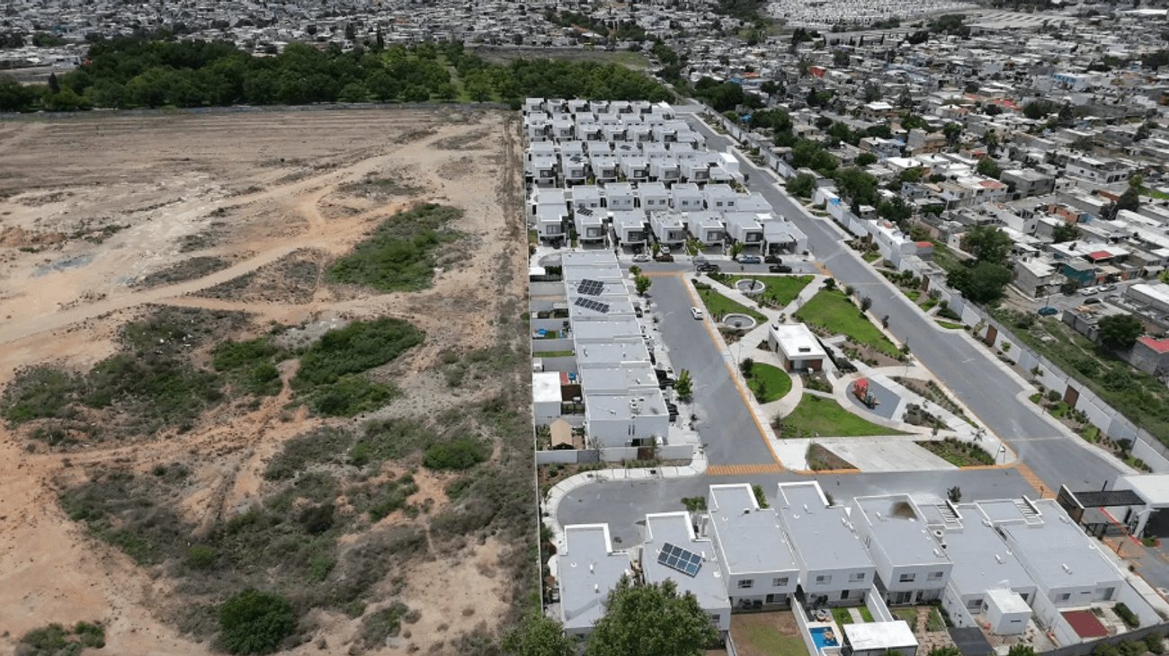 Vecinos cuestionan retiro de nogales por desarrollo en Saltillo