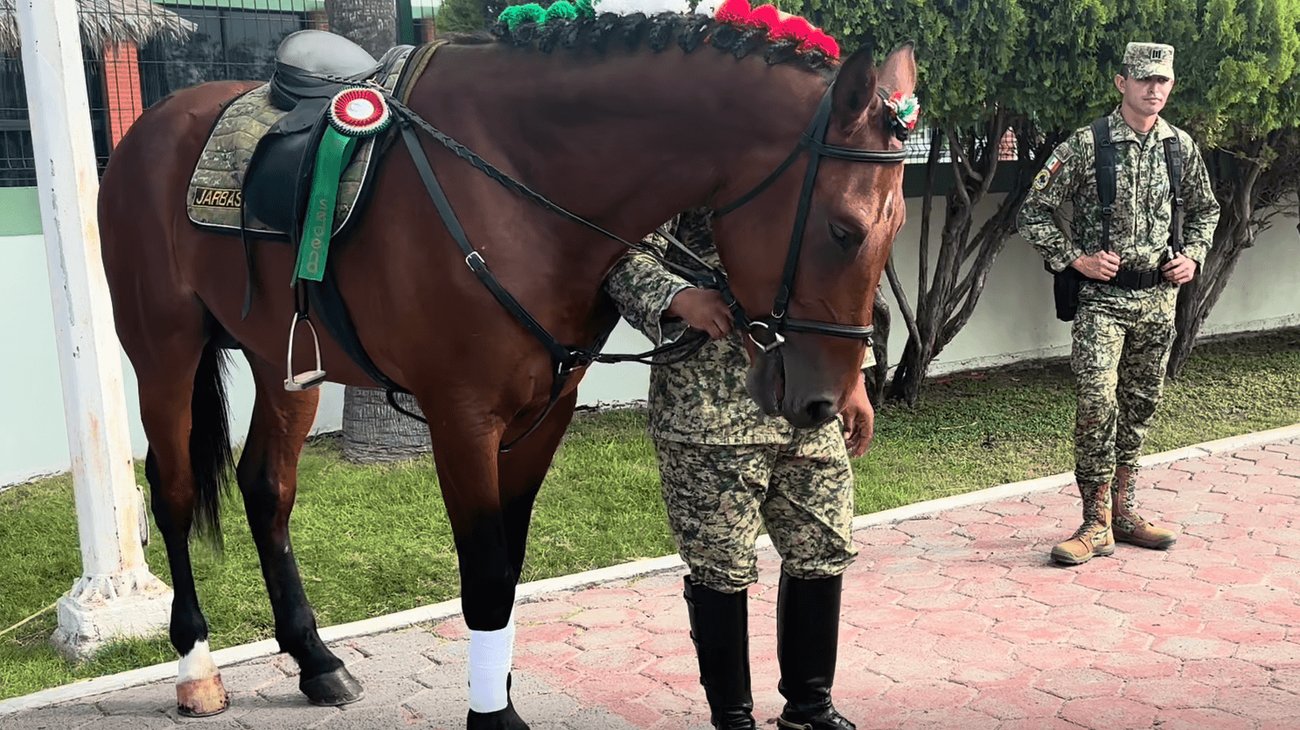 Ejército invita a Paseo Dominical en Nuevo Laredo este domingo