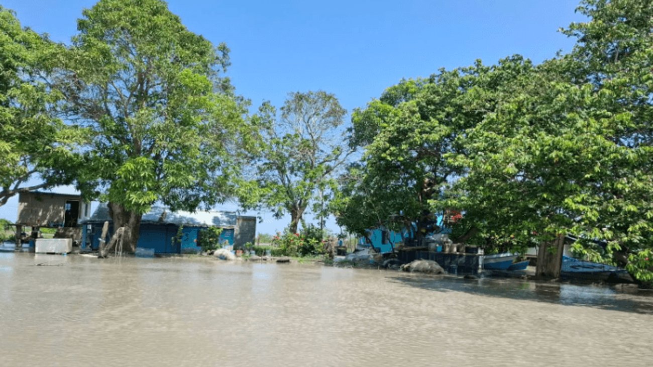 Lluvias recuperan lagunas y favorecen abasto en sur de Tamaulipas