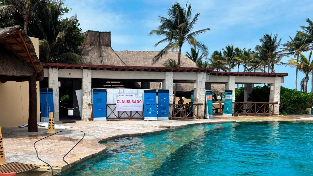 Clausuran delfinario en Quintana Roo por faltas al trato digno