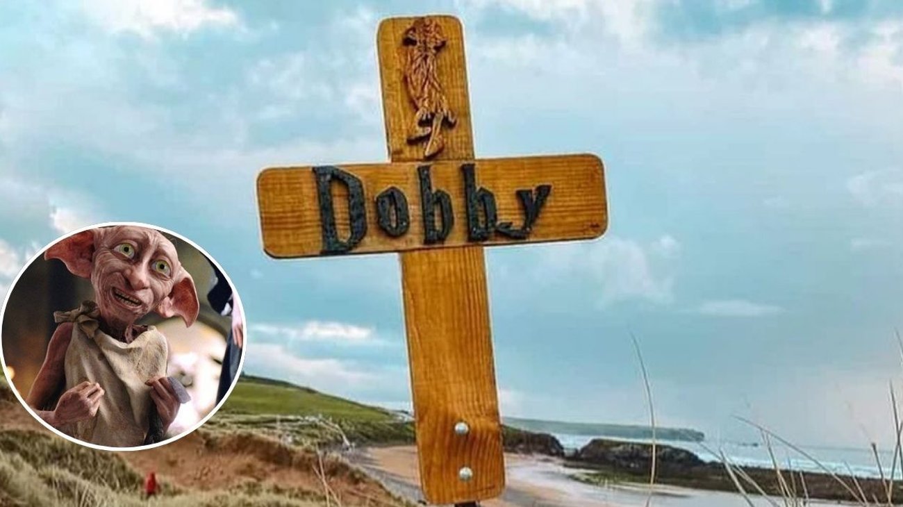 'Potterheads' frenan obra millonaria para proteger tumba de Dobby